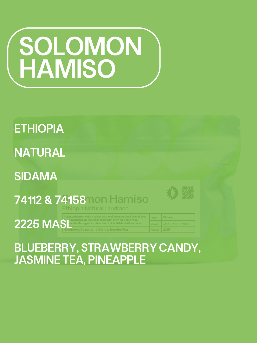 Ethiopia | Solomon Hamiso - Natural Landrace — Slow Bloom Coffee